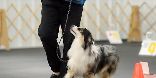 RiverRun AKC Rally Workshop