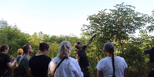 Blooms & Berries - Late Spring Foraging Walk