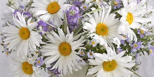 Forest Bathing Therapy walk