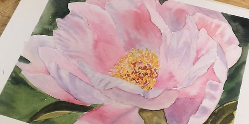 Blushing Peony Watercolour Workshop
