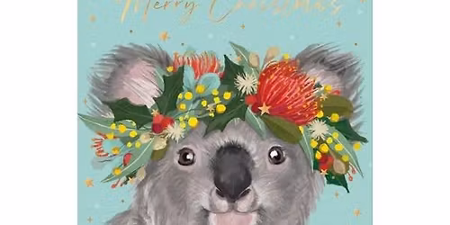 Tinonee Community Garden end of year gathering