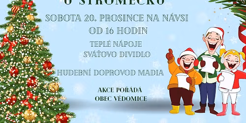 V\u00e1no\u010dn\u00ed zp\u00edv\u00e1n\u00ed u strome\u010dku