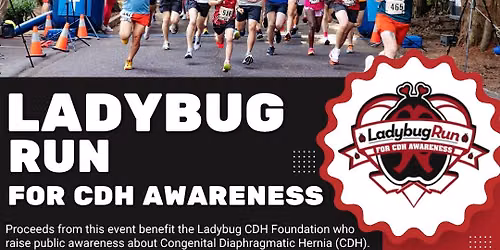 Ladybug Run for CDH Awareness