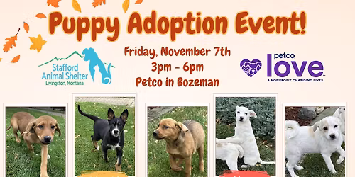 November Puppy Adoption Event!
