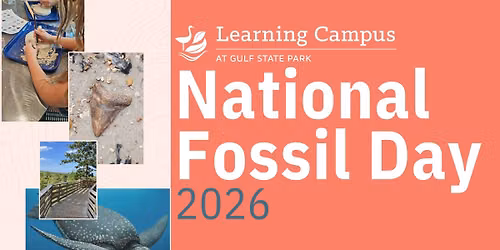 National Fossil Day 2026