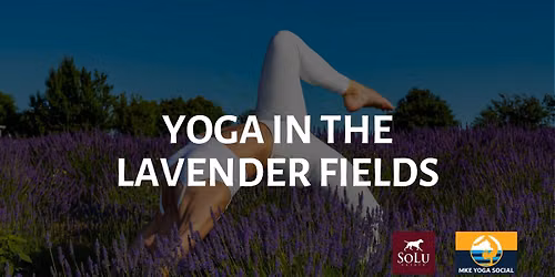 ✨ Yoga in the Lavender Fields 💜 at SoLu Vineyards | Lavender Fest
