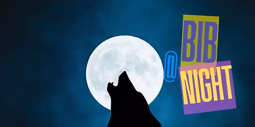 \ud83e\udd73 Bib @ Night \ud83e\udd73