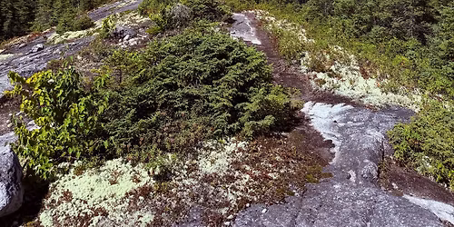 Week-end choc avec MP Coach