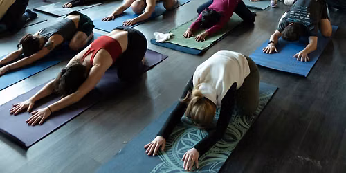 Taproom Yoga at Long Live Roxbury