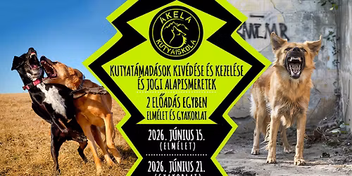 \ud83d\udc15\u200d\ud83e\uddba Kutyat\u00e1mad\u00e1sok kiv\u00e9d\u00e9se \u00e9s kezel\u00e9se & Kuty\u00e1sok jogi alapismeretei \u2696\ufe0f WORKSHOP