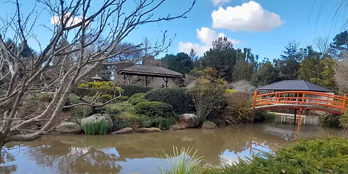 Free Sound Healing and Nature meditation session