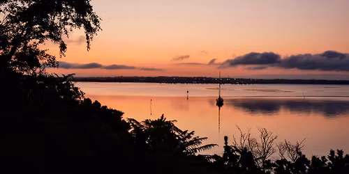 Summer Solstice Guided Walk at RSPB Arne