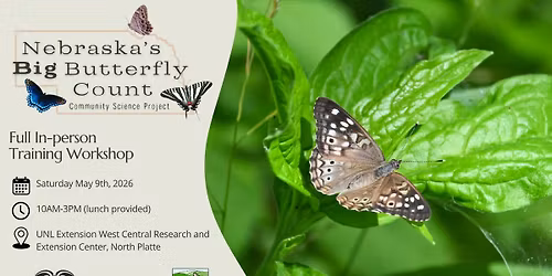 Nebraska's Big Butterfly Count Full In-Person Workshop