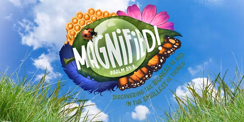 Magnified! VBS