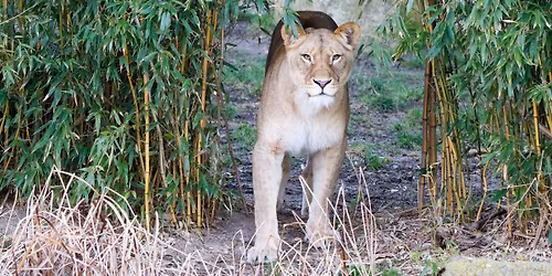 Tierisches Himmelfahrt-Wochenende f\u00fcr die ganze Familie