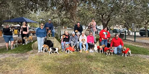 November Brevard Beagle Meet