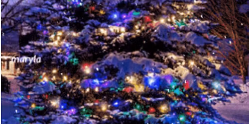 Christmas in the Village at Grumbellies!