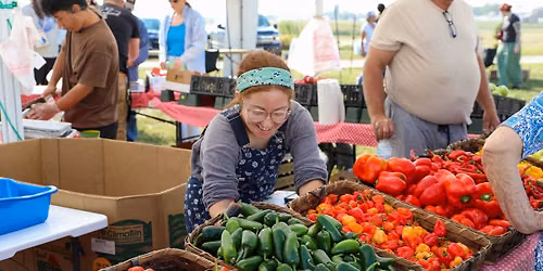2026 Tomato Festival