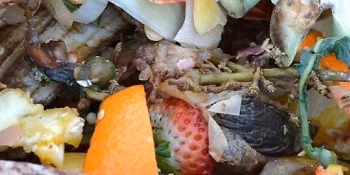 Compost bucket distribution