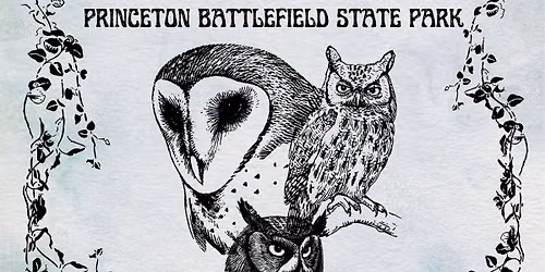 Owls of the Battlefield