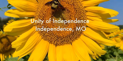 Summer Solstice Celebration with Oneness in Nature Circles - KC