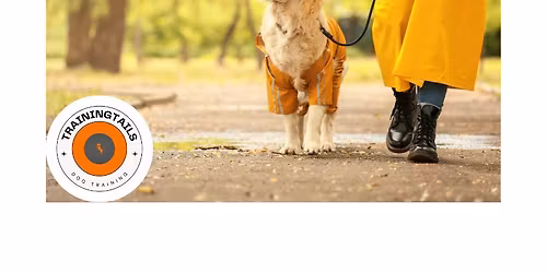 Lead Walking Workshop