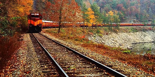 Fall Foliage - North Carolina