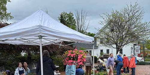 Annual Plant Sale on the Commons!