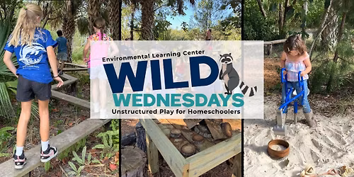 Wild Wednesdays - Unstructured Play for Homeschoolers