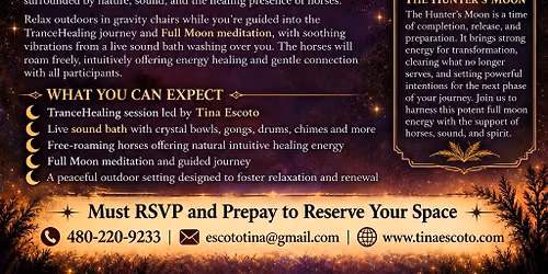 Trance Healing with Horses Guided Meditation Sound Bath