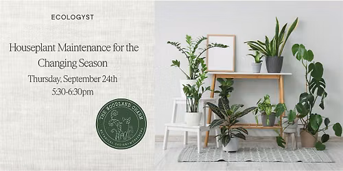 Free Seminar: Houseplant Maintenance for the Changing Season