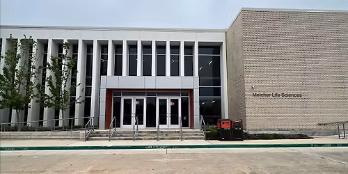 Aphasia Conversation Groups - University Clinic Treatment Groups