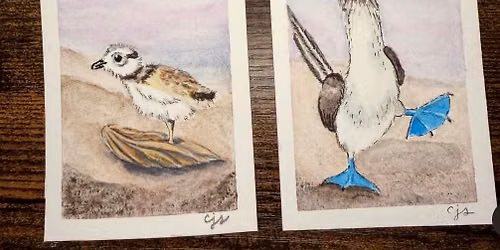 Watercolor Wednesdays- with Colleen Ramsey