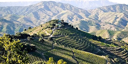 Priorat i g\u0119sina. Degustacja komentowana.