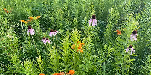 9th Annual Fall Seed Share