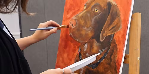Paint Your Pet Home Kits