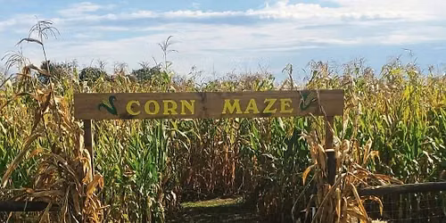 Flashlight Corn Maze