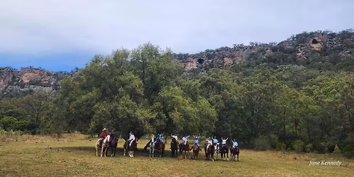 FFH Progressive Horsemanship Camp