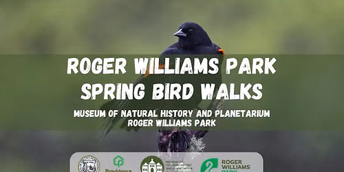 Spring Bird Walks in Roger Williams Park