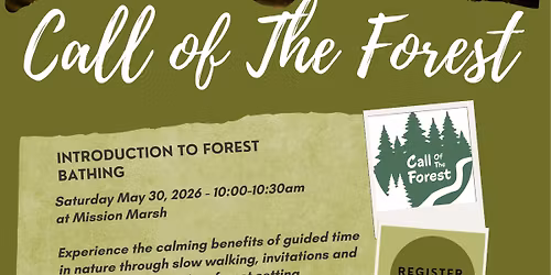 Introduction to Forest Bathing. Guided forest bathing wellness event
