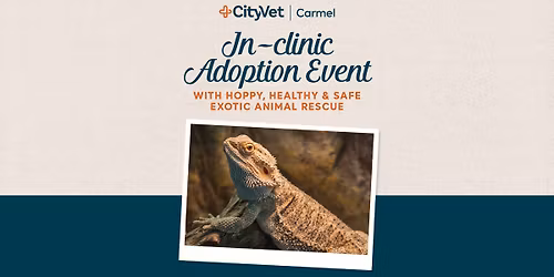CityVet Carmel Adoption Event with Hoppy, Healthy & Safe