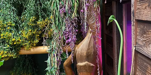 Bare Root apothecary grand opening