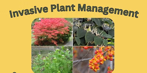Invasive Plant Management and Native Plant Alternatives