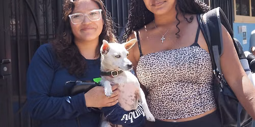 Blessing of the Animals