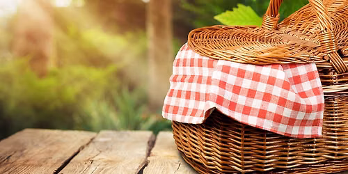 Memory Cafe - Indoor Summer Picnic