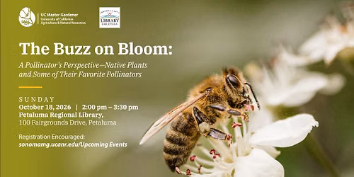 The Buzz on Bloom: A Pollinator's Perspective \u2014 (Native Plants and Some of their Favorite Pollinator