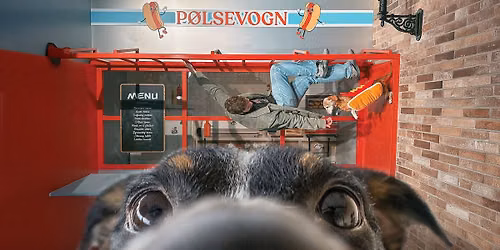 Dog-friendly days at Museum of Illusions