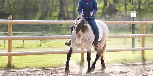 Rebecca Dahlgreen - Libertydressur kursus