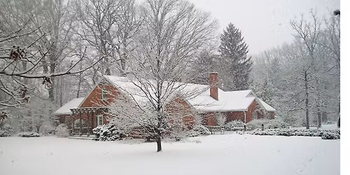 For Adults 50+: Late Afternoon in the Gardens