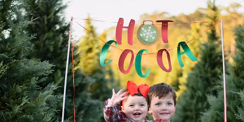 Last chance Christmas tree farm minis